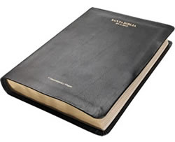 Spanish RVG Bible (Pocket Size)