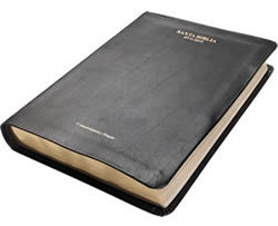Spanish RVG Bible (Pocket Size)